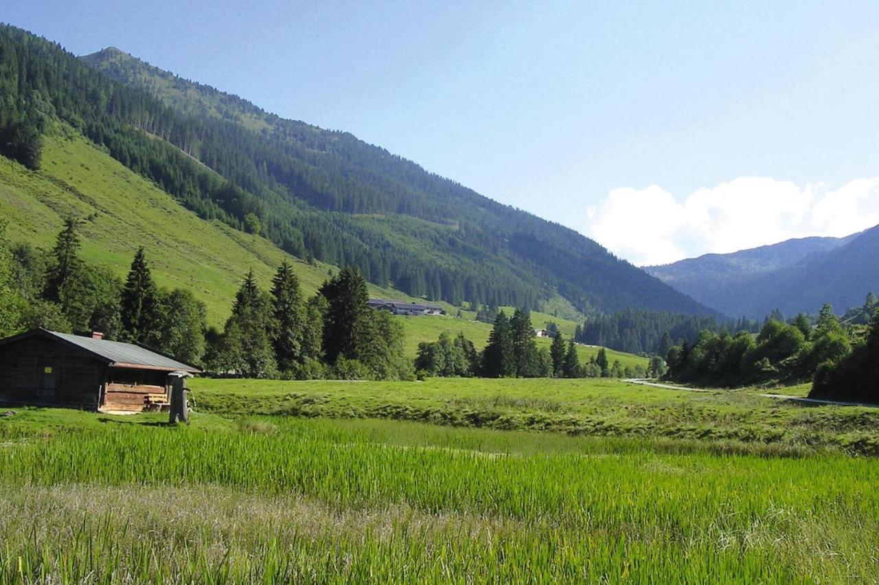 Apartments Schatzberg-Haus, Wildschoenau-Auffach Exteriör bild